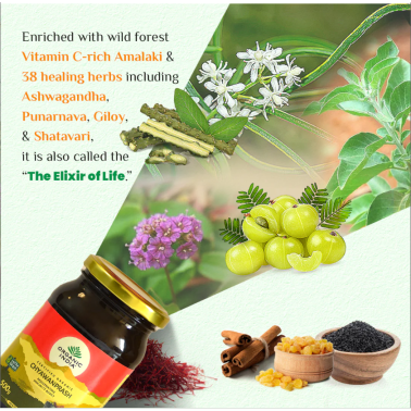 ORGANIC INDIA CHYAWANPRASH 500 GM